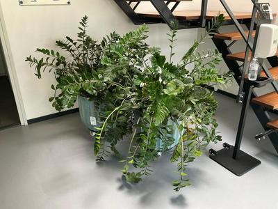 Översiktsbild av Planter (2x)